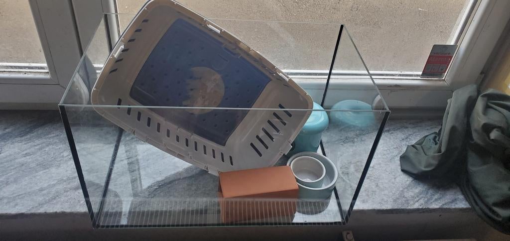 Terra 50x30x30 ouvert avec accessoires, Animaux & Accessoires, Rongeurs & Lapins | Cages & Clapiers, Enlèvement