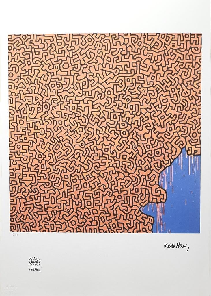 Keith Haring - Brazil, Antiek en Kunst, Ophalen of Verzenden