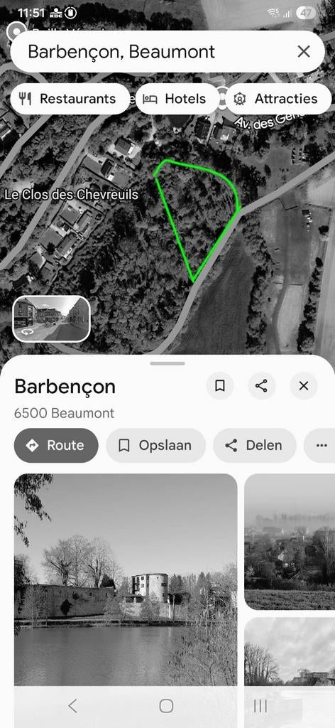 Terrain forestier à Barbençon, Immo, Terrains & Terrains à bâtir