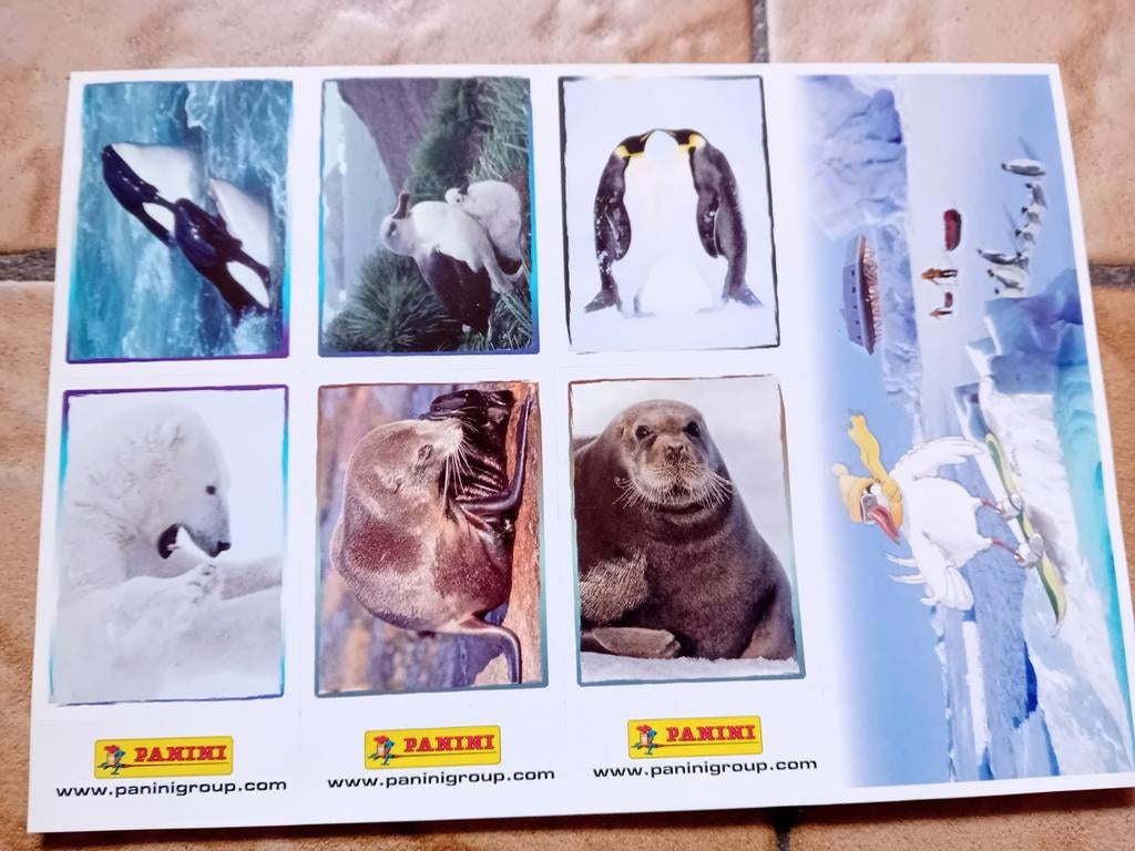 6 vignettes panini "animaux", Neuf, Animal et Nature