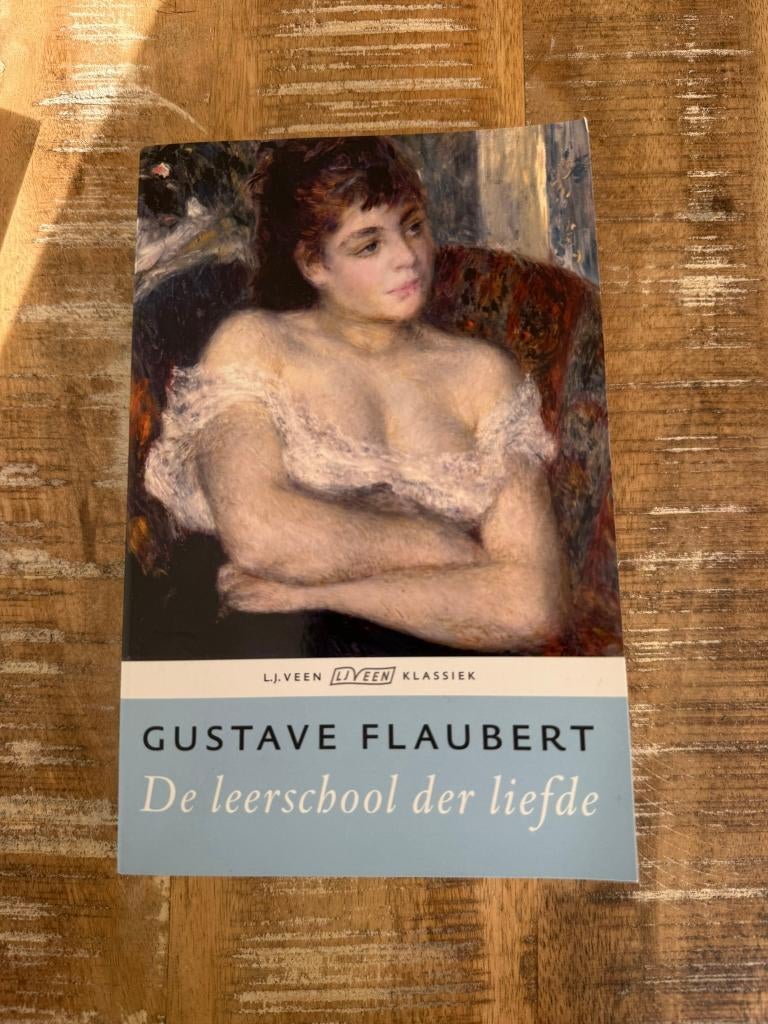De leerschool der liefde - Gustave Flaubert, Boeken, Literatuur, Zo goed als nieuw, Europa overig, Ophalen of Verzenden