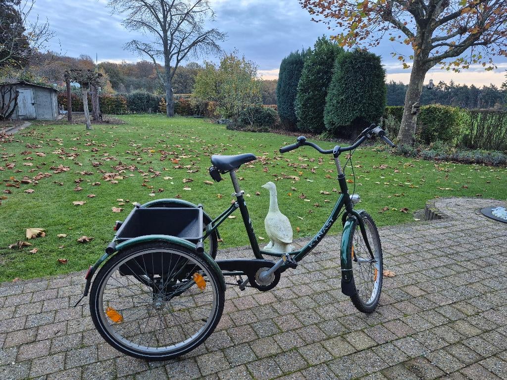 Driewieler Volwassenen, Ophalen, Gebruikt, Kynast