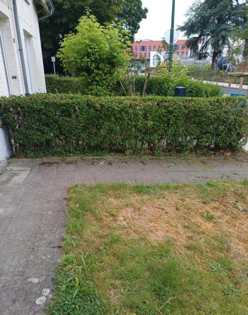 Jardinier disponible