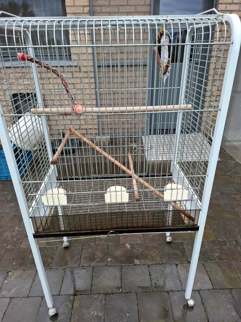 Parkieten of papegaaikooi, Dieren en Toebehoren