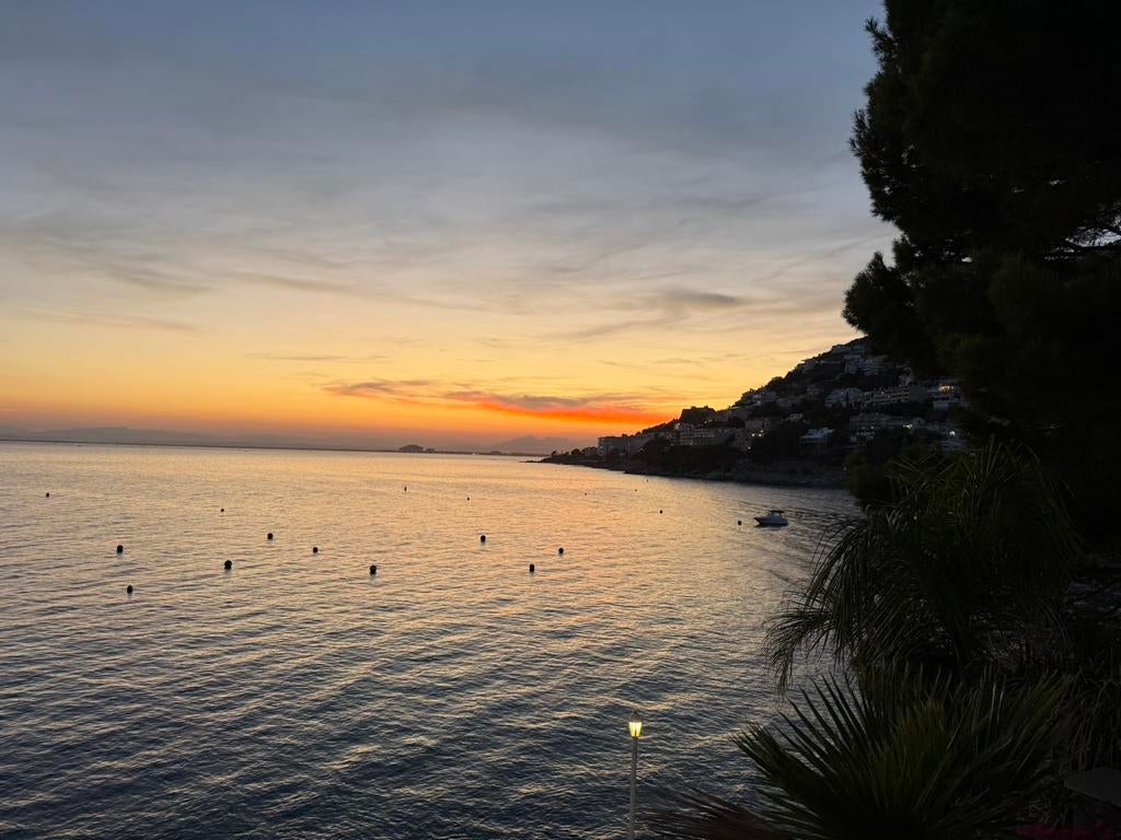 Assassins creed Valhalla, Ophalen