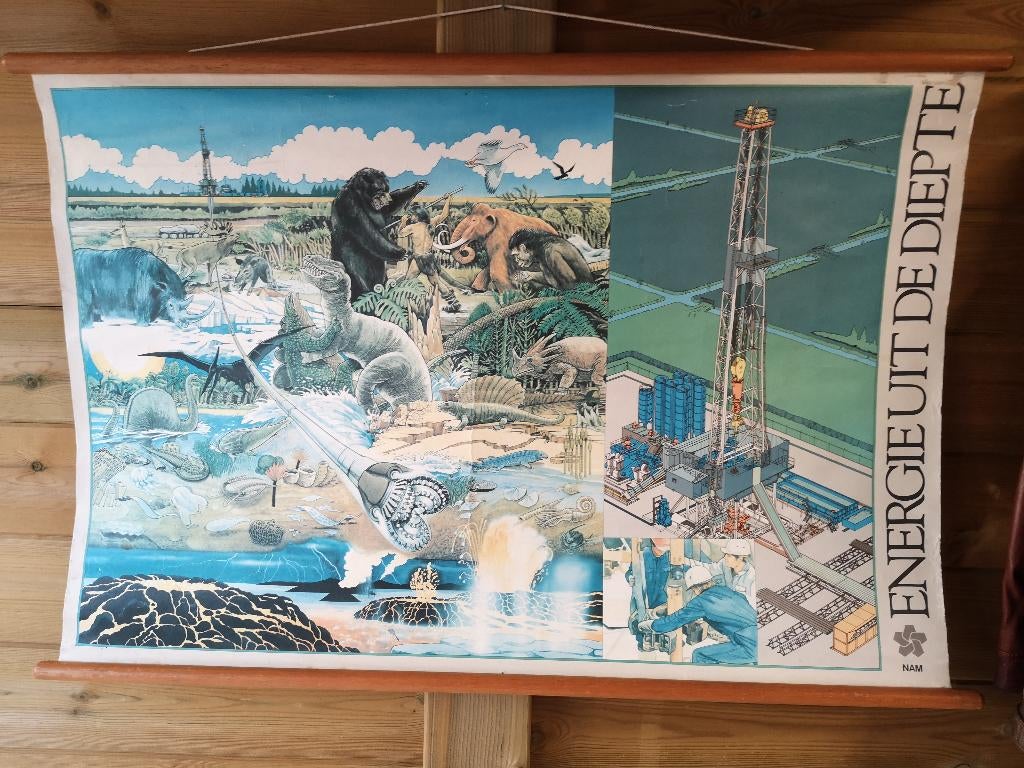 school plaat energie uit de diepte ,, Antiek en Kunst, Ophalen of Verzenden, Natuur en Biologie