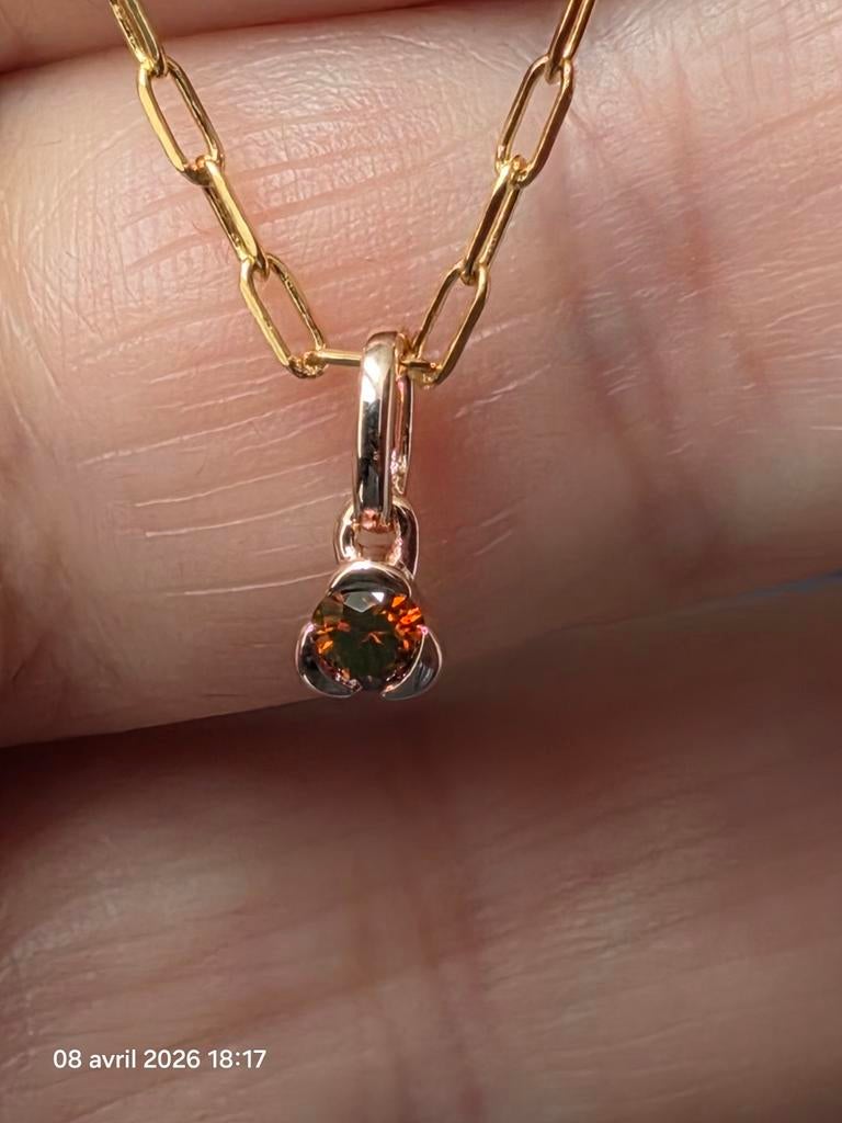 Vergulde hanger van sterling zilver met diamant+certificaat, Ophalen, Nieuw, Met edelsteen, Rood