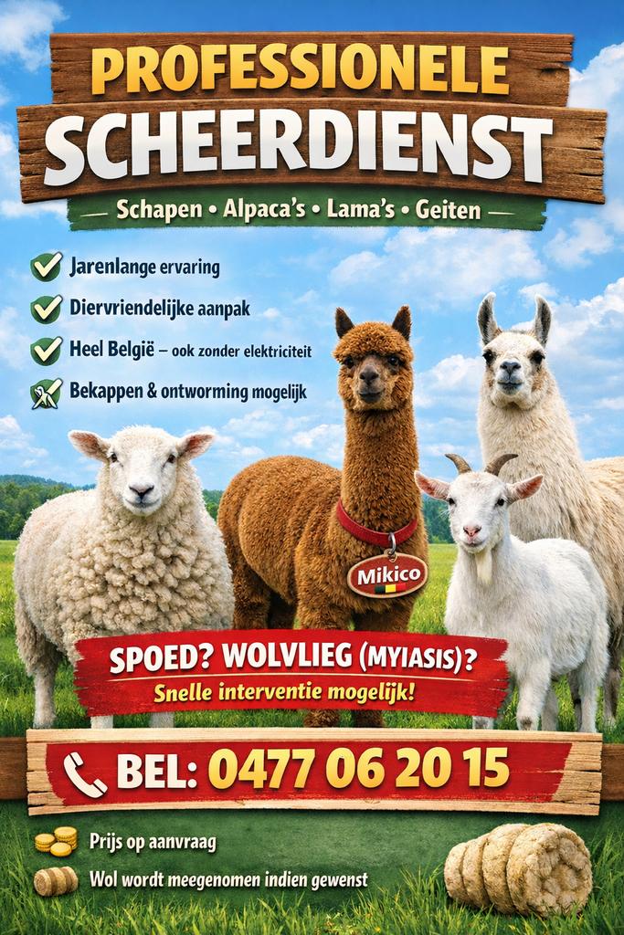 Scheerdienst schapen & alpaca’s