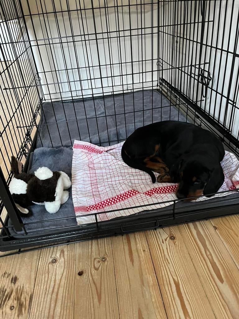 Stevige hondenbench 125cm, Ophalen, Nieuw