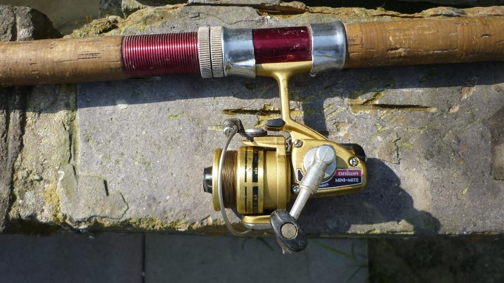 canne a peche, Enlèvement, Utilisé, Moulinet