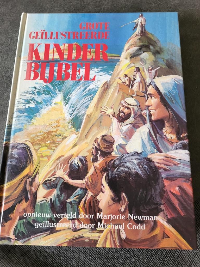 Grote geillustreerde kinderbijbel, Boeken, Kinderboeken | Jeugd | 10 tot 12 jaar, Ophalen of Verzenden