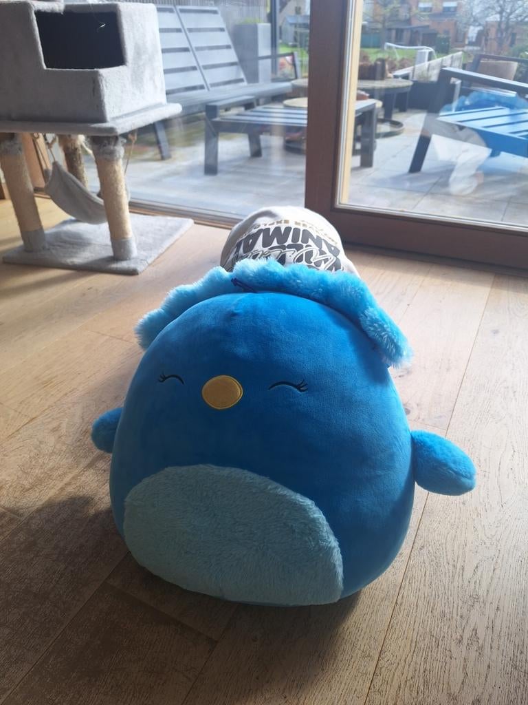 Knuffelkussen Priscilla heel zacht, 2 maand oud, Kinderen en Baby's, Speelgoed | Knuffels en Pluche, Ophalen, Zo goed als nieuw