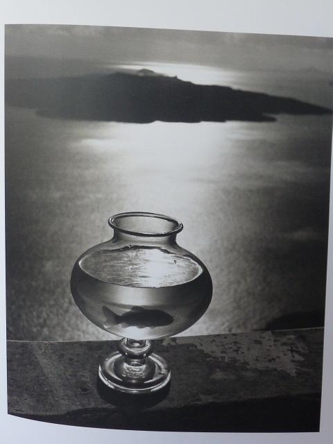 Herbert List in de schijnwerpers in Griekenland, Boeken, Kunst en Cultuur | Fotografie en Design, Ophalen of Verzenden, Zo goed als nieuw