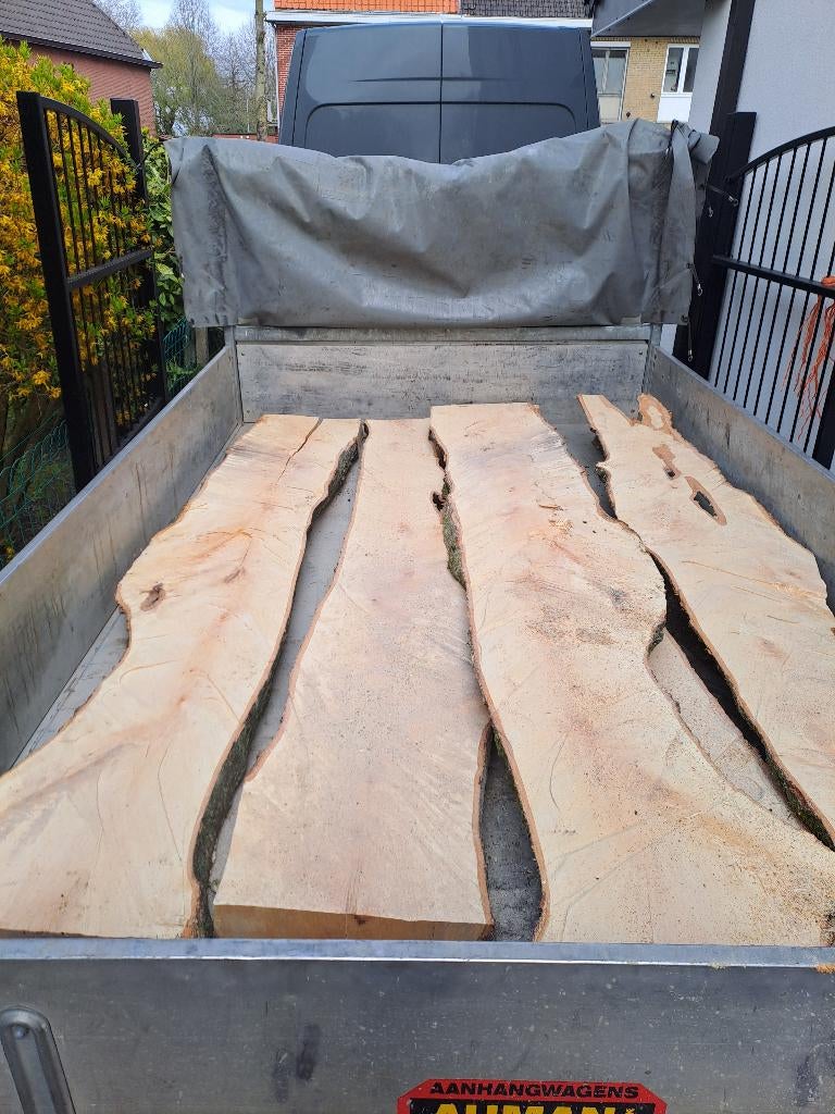 Berken Schaaldelen, Bricolage & Construction, Bois & Planches, Enlèvement