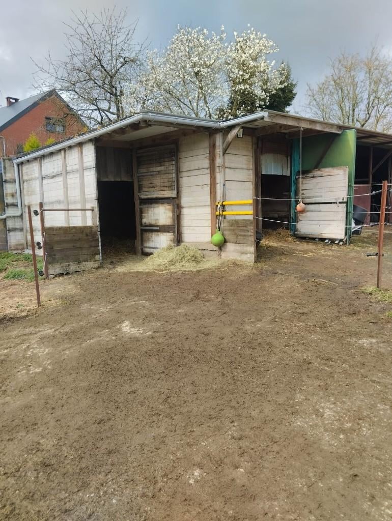 PENSION CHEVAUX, Pâturage, 2 ou 3 chevaux ou poneys