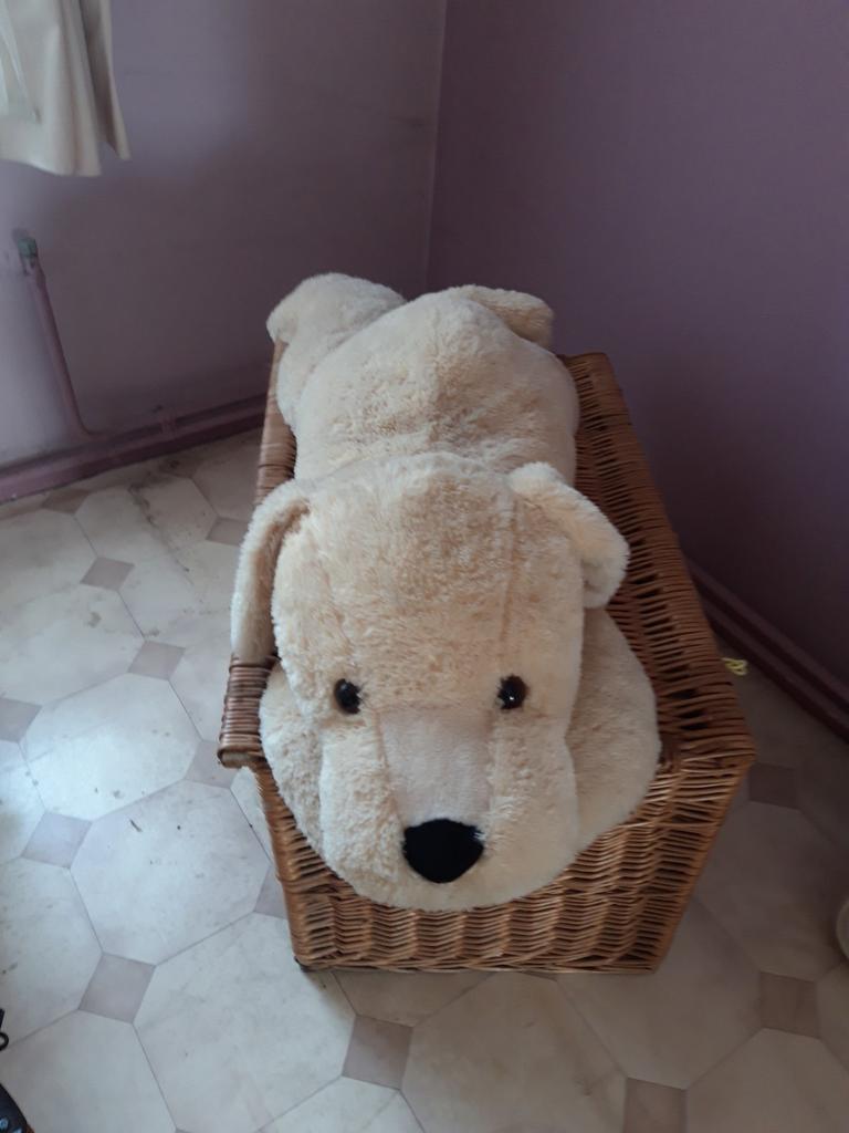 Peluches chien et ours, Brun, Comme neuf, Ours, Enlèvement