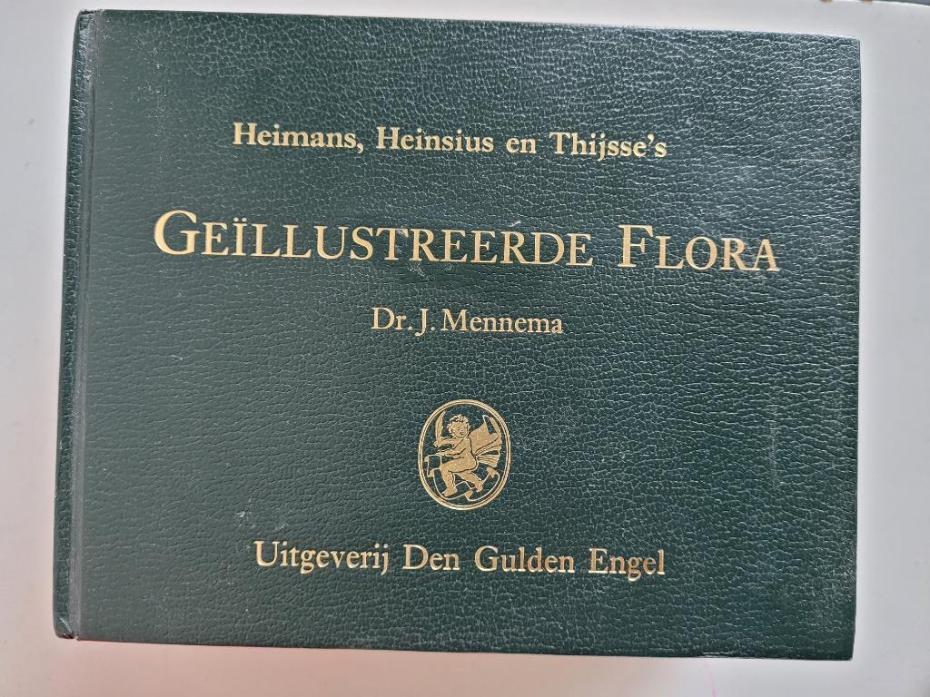 Geïllustreerde flora - Mennema, Boeken, Natuur, Ophalen of Verzenden, Zo goed als nieuw, Bloemen, Planten en Bomen