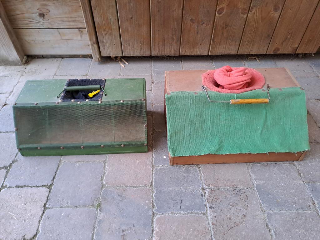 transportkooi (in hout) voor vogels - 2 formaten, Dieren en Toebehoren, Ophalen, Hout