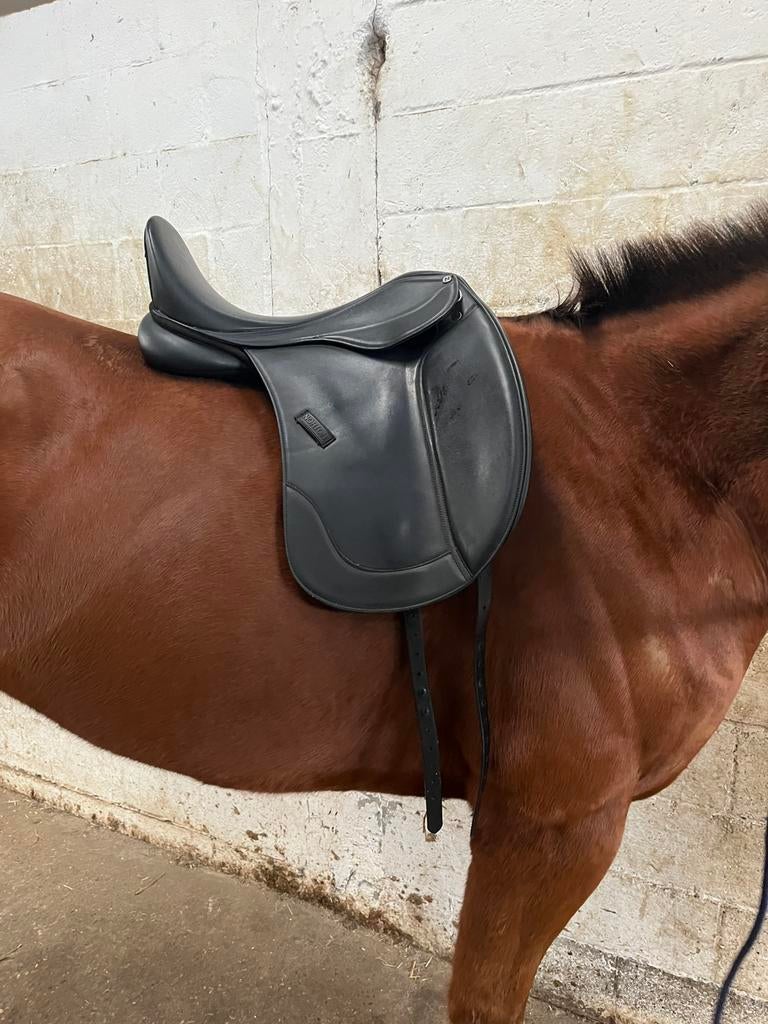 Dressuur zadel te koop, Enlèvement, Comme neuf, Dressage