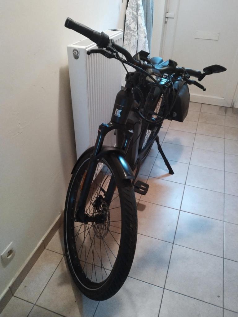 Speedpedelec dames maat 45 - 2x 625Wh - riem - 2021, Gebruikt, Versnellingen, Minder dan 47 cm, Ophalen