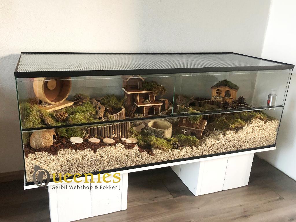 Hamster terrarium goudhamster – Schuifruiten, Dieren en Toebehoren, Minder dan 60 cm, Nieuw, Ophalen of Verzenden, 75 tot 110 cm