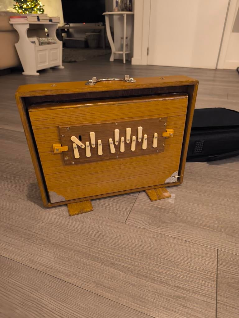 Shruti box large C3, Muziek en Instrumenten, Ophalen