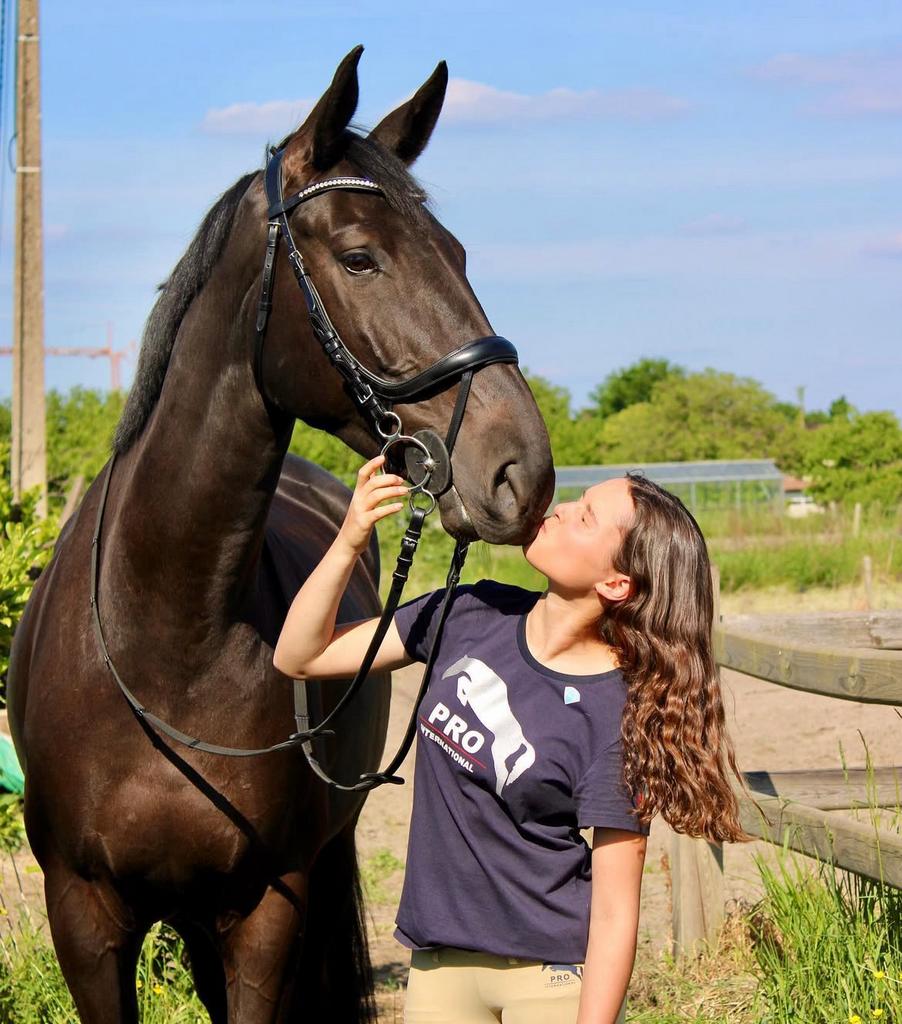 Allround paard te koop, Dieren en Toebehoren, Paarden en Pony's | Verzorgingsproducten, Zo goed als nieuw, Ophalen