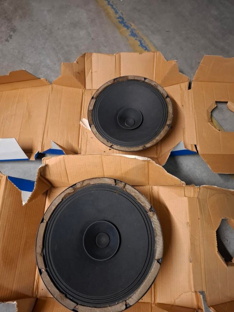 Philips Ad 121000-8 om-12 pouces full range Nouveau, Ophalen of Verzenden, Philips