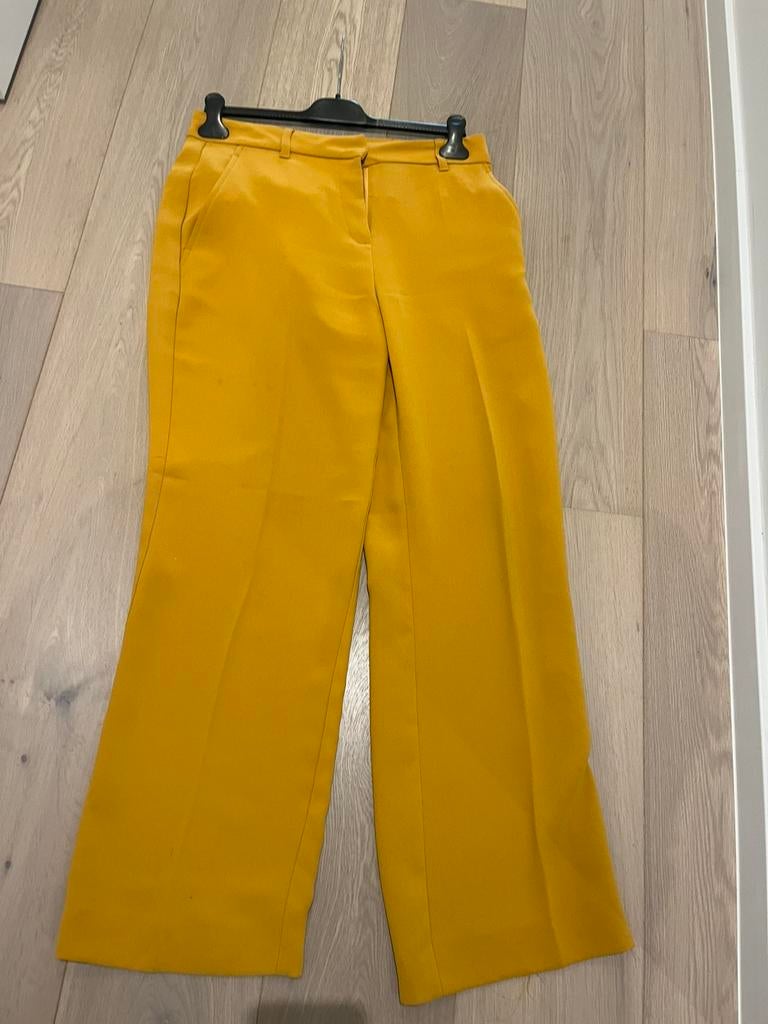 Cks mosterd kleur broek, Ophalen of Verzenden, Zo goed als nieuw, Maat 38/40 (M)