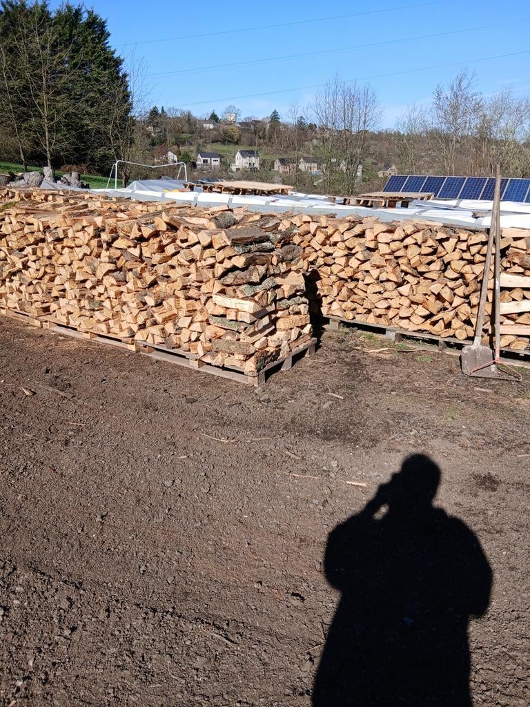 Bois de chauffage chêne et bouleau, Bouleau