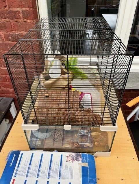 cage à hamster, Animaux & Accessoires, Souris, Moins de 60 cm, Cage, Comme neuf