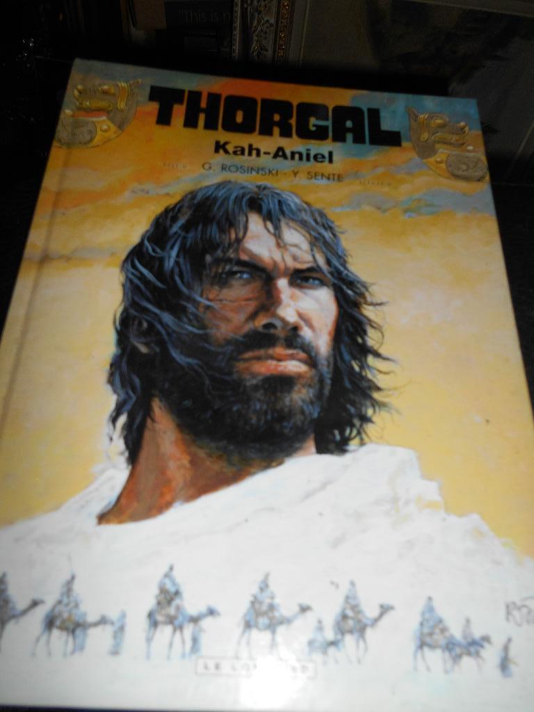 Thorgal 34 eo, Livres, Enlèvement ou Envoi