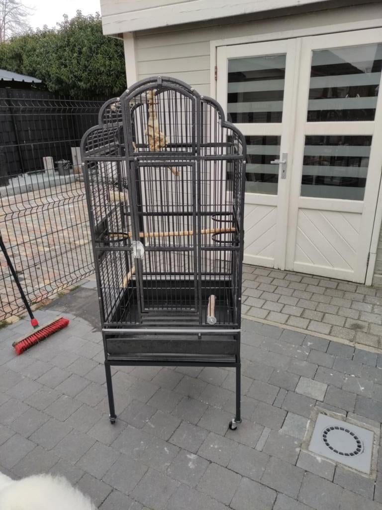 Papegaaienkooi, Dieren en Toebehoren, Ophalen, Gebruikt, Metaal, Vogelkooi