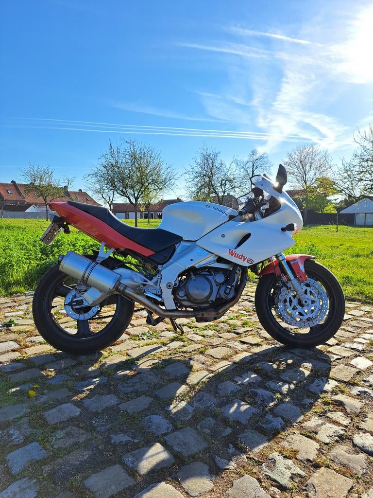 Yamaha SZR 660, Occasion, Permis Moto A2 minimum, 660 cm³, 12 à 35 kW