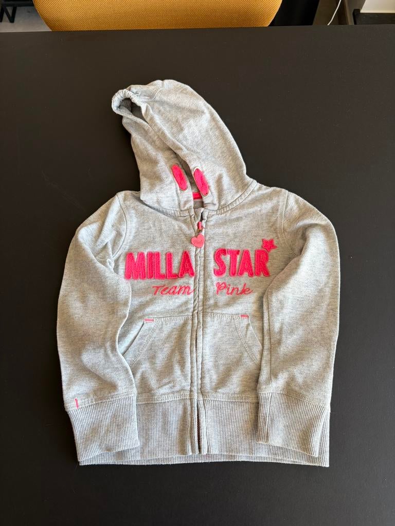 Hoodie, Enfants & Bébés, Vêtements enfant | Taille 104, Enlèvement ou Envoi, Utilisé, Fille, Pull ou Veste