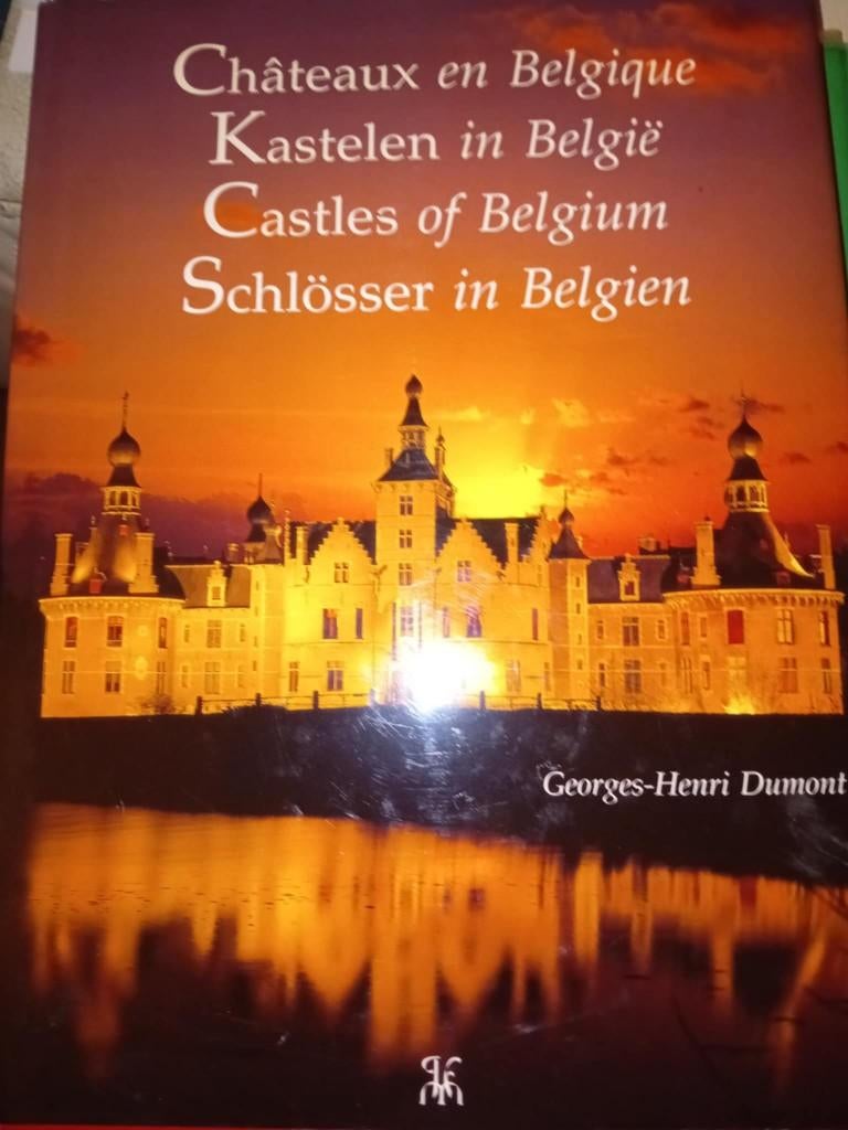 réserver des châteaux en Belgique, Livres, Enlèvement ou Envoi, Comme neuf, Georges henri dumont