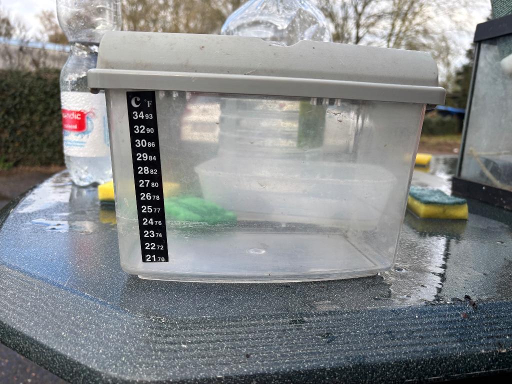 Transsportbakje quarantaine bakje, Ophalen, Gebruikt, Leeg aquarium