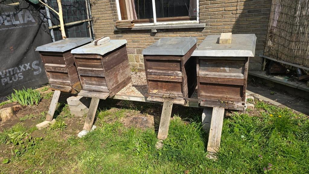 Bijenstal, Enlèvement