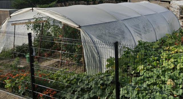 tunnelserre, Gebruikt, Folie, Kweekkas, Ophalen