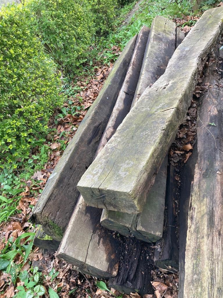 Treinbielzen, Ophalen, Gebruikt, 25 cm of meer, Biels