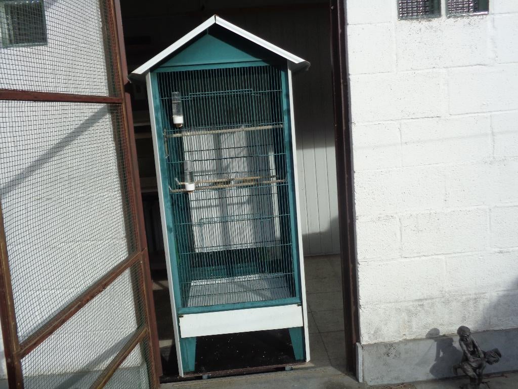 kooi  voor parkieten en grote vogels, Dieren en Toebehoren, Vogels | Hokken en Kooien, Ophalen