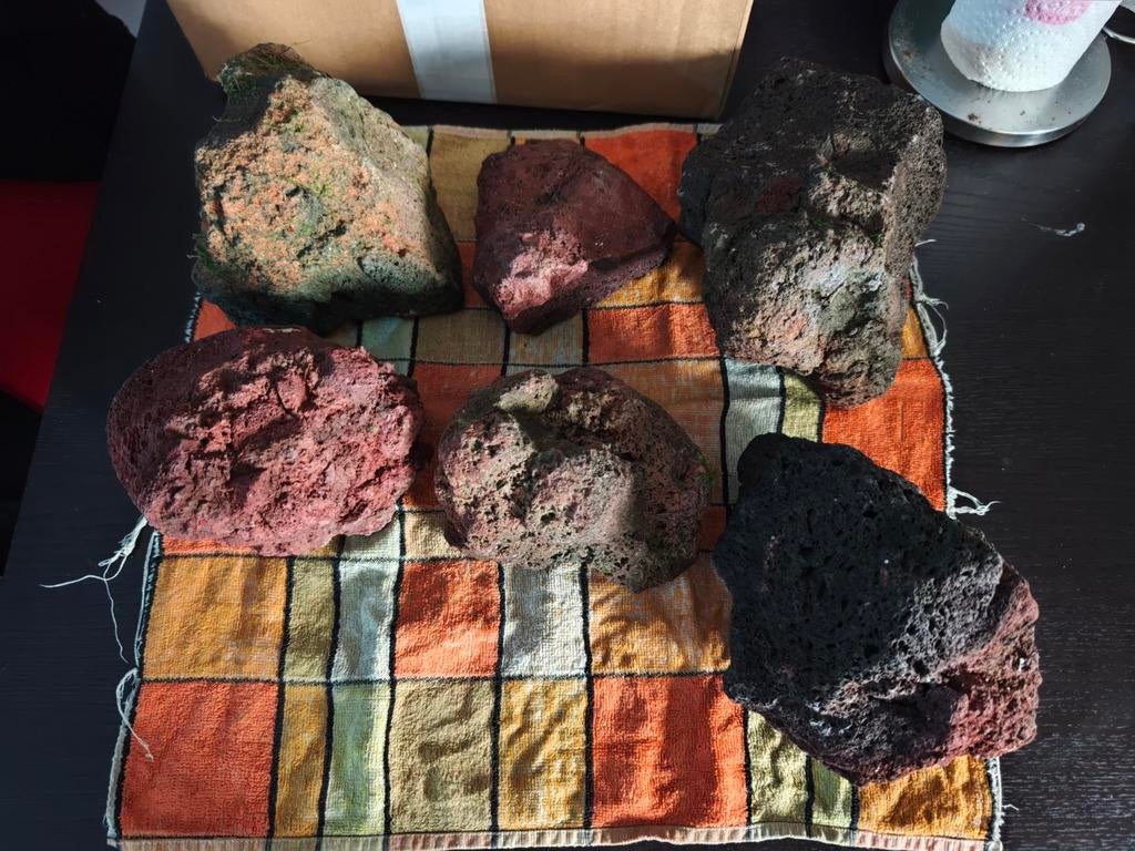 Pierre de Lave pour aquarium + chauffage pour aquarium, Animaux & Accessoires, Enlèvement, Utilisé, Plante(s), Pierre ou Bois