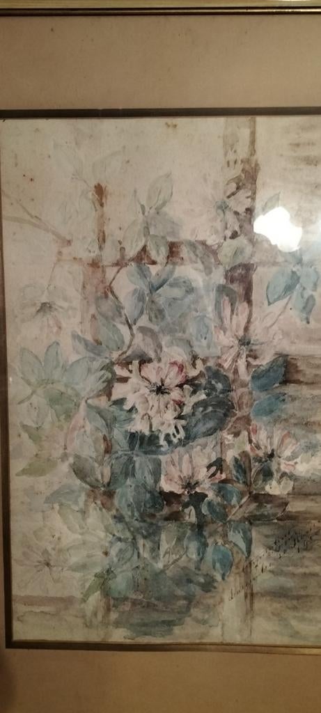 Aquarel . Wordt eind April van tweedehands verwijderd., Ophalen