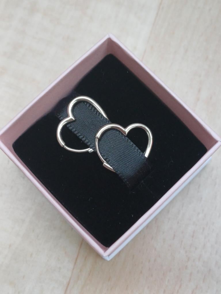 Nieuwe Pandora oorringen, Hangers, Nieuw, Ophalen of Verzenden, Zilver