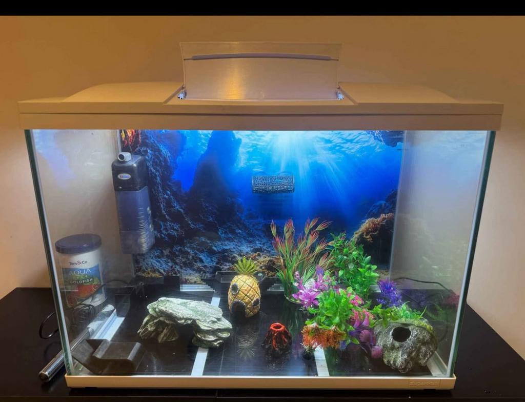 Aquarium 100 litres et meuble, Enlèvement, Comme neuf