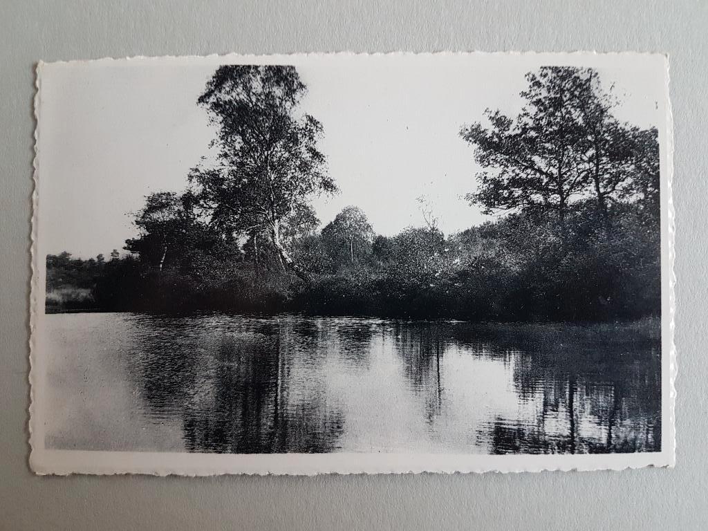 Postkaart Genk Genck Vijver, Ophalen of Verzenden, 1940 tot 1960, Ongelopen, Limburg
