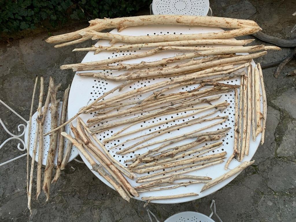 Unique !!! Bois flotté "castor" 55 morceaux long de 24cm à 1, Envoi, Bois