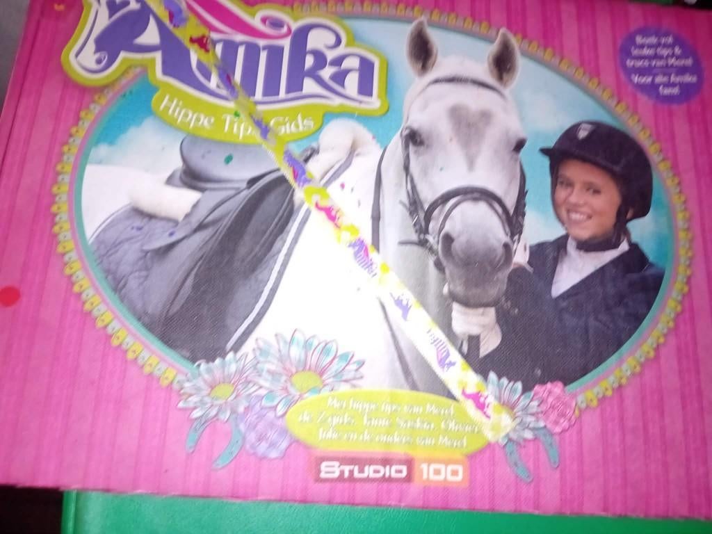 boek amika hippe tips gids, Studio 100, Fictie algemeen, Ophalen of Verzenden, Zo goed als nieuw