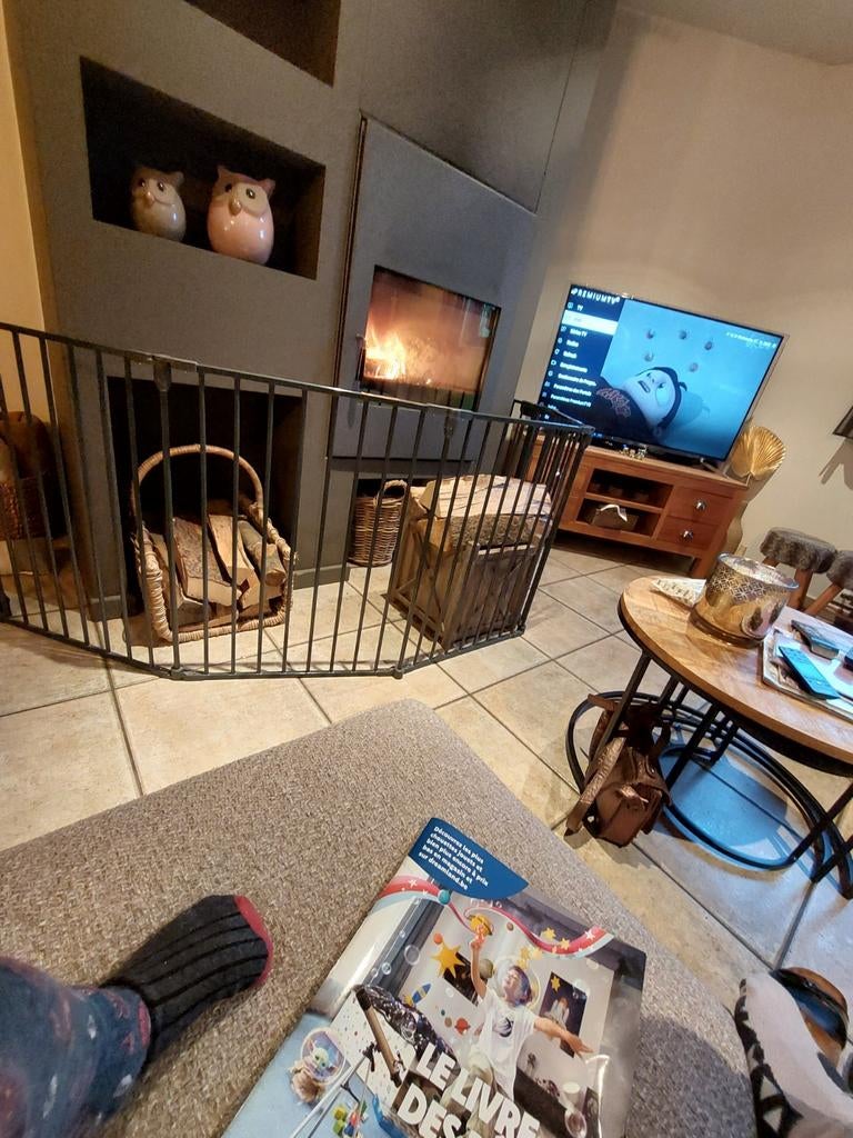 Barrière (met deur) voor kachels, dieren... enz, Tickets en Kaartjes, Musea