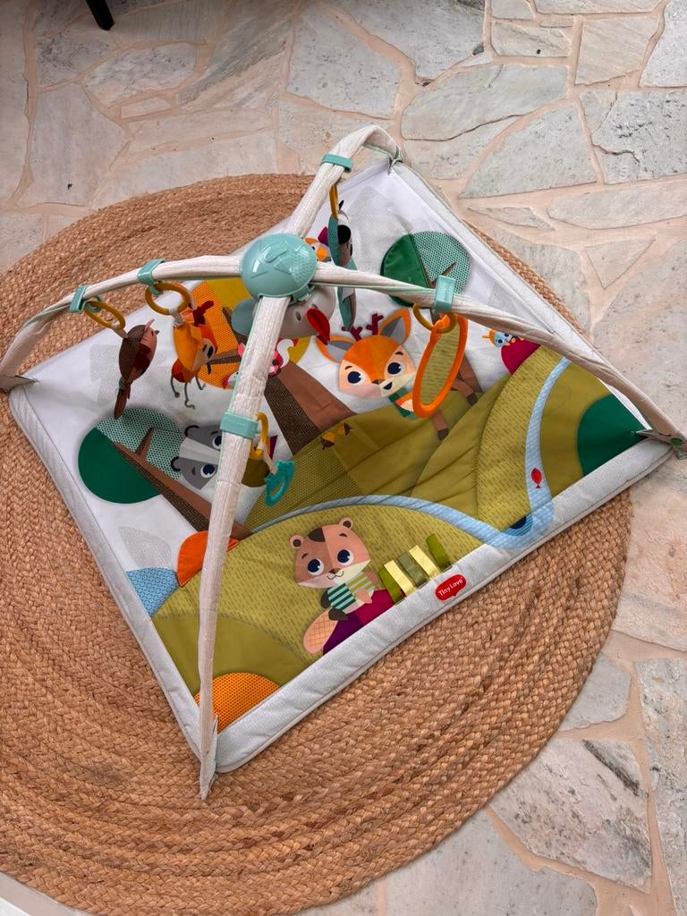 Speelmat Tiny Love, Ophalen, Gebruikt